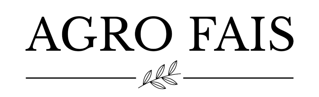 Parceiro 2